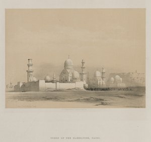 埃及和努比亚，第三卷：Memlooks墓，开罗，1849年。 作者 路易斯·哈格