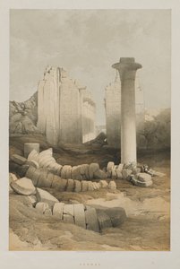 埃及和努比亚，第二卷：卡纳克（1848年）。 作者 路易斯·哈格