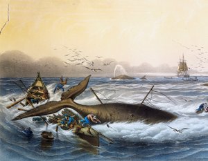 南海捕鲸，路易斯-勒布雷顿（卒于1866年）的彩色平版画。