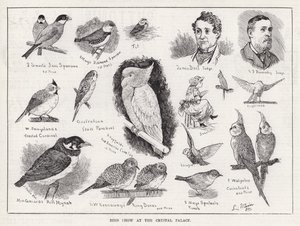 Bird Show at the Crystal Palace (engraving) 作者 路易·韦恩