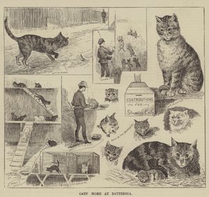 巴特西的猫之家 作者 路易·韦恩