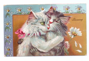 拥抱的两只猫爱德华七世时代的明信片，c.1910