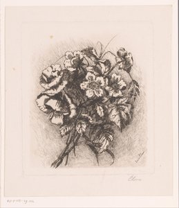 罂粟花和海葵静物画 作者 路易丝·埃尔森