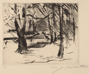 阳光下的树木（阳光下的树木） 作者 洛维斯·科林斯（Lovis Corinth）