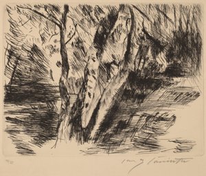 蒂尔加登的白桦树 (蒂尔加登的白桦树) 作者 洛维斯·科林斯（Lovis Corinth）