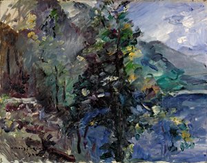 约赫贝格在瓦尔兴湖 作者 洛维斯·科林斯（Lovis Corinth）