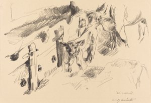 小牛 作者 洛维斯·科林斯（Lovis Corinth）
