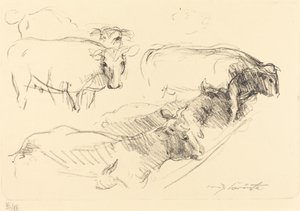奶牛 奶牛，1910年。 作者 洛维斯·科林斯（Lovis Corinth）