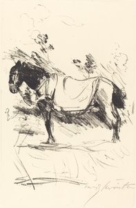 骑马 (Riding-Horse) 作者 洛维斯·科林斯（Lovis Corinth）