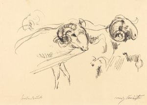 公羊公羊，1912年。 作者 洛维斯·科林斯（Lovis Corinth）
