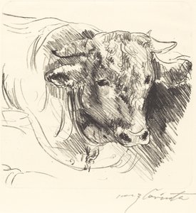 Stierkopf的牛头，1912年。 作者 洛维斯·科林斯（Lovis Corinth）