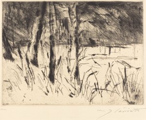动物园，1922年。 作者 洛维斯·科林斯（Lovis Corinth）
