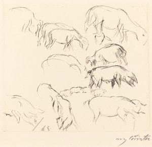 杂项动物研究 动物研究，1917年。 作者 洛维斯·科林斯（Lovis Corinth）