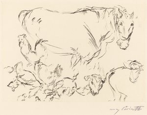 杂项动物研究 动物研究，1917年。 作者 洛维斯·科林斯（Lovis Corinth）