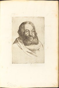 从图画书中打印 作者 Luca Ciamberlano