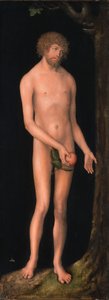 德语：Adam Adam 作者 卢卡斯·克拉纳赫