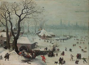 安特卫普附近的冬季降雪景观