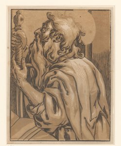 Apostel Paulus Christus en de twaalf apostelen (series title) 作者 乔治·拉勒曼德