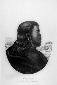 酋长酋长（1816） 作者 路德维希·克里斯（Ludwig Choris）