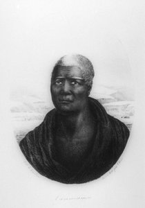 夏威夷卡美哈美哈一世，1816年