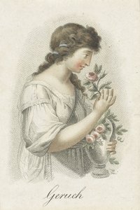 嗅觉
Geruch（物品上的标题）
女性形象代表的五种感官（系列名称）
Die Funf Sinne（系列标题） 作者 夏沃内蒂
