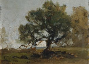景观