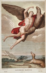 Ganymede进入天堂或Ganimede Rapito，书籍X，插图来自Ovid的Metamorphoses，佛罗伦萨，1832年（手工彩色雕刻） 作者 路易吉·阿德莫洛