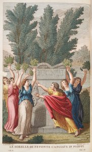 Heliades进入树木，产生Amber或Le Sorrelle死于Pioppi的Fetonte Cangiate，插图来自Ovid的变形记，佛罗伦萨，1832年（手工彩色雕刻） 作者 路易吉·阿德莫洛