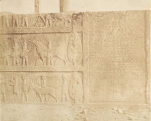 大楼梯外墙的游行，1858年。 作者 路易吉·佩斯