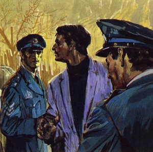 范梅杰伦被指控在战争期间向纳粹出售画作（彩色石版画）