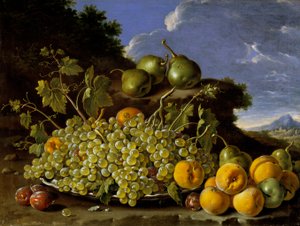 与葡萄，桃子，梨和李子板材的静物画在风景，c.1771