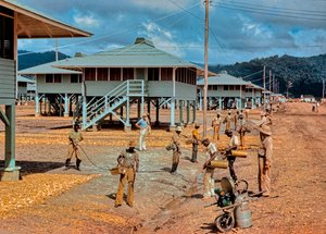 男子喷洒 DDT 杀虫剂控制新建栏杆周围的昆虫 作者 路易斯·马登