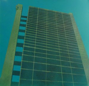 金手指的遗产 III》，2015 年（布面丙烯和墨水）