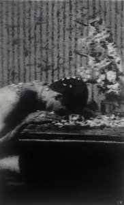  作者 