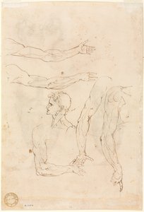 1500年代中期，五臂素描和头部反画。