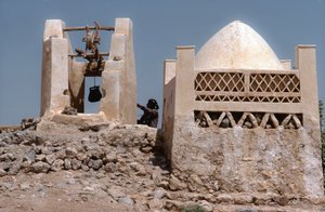 在沙漠中，也门塔林以南 Husn Al-Muttahar 的绿洲上有一口水井。 作者 林恩·阿伯克龙比