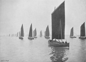 泰恩河畔的鲱鱼船，c1896