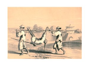 大举进攻后的早晨在城墙上的素描》，中国，19世纪。