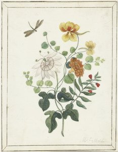 花卉静物 作者 马歇尔特莫宁克斯