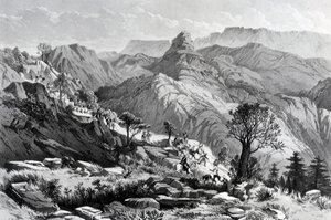 在Dongolo附近的游行，由James Ferguson雕刻，1868年 作者 主要AGF霍格