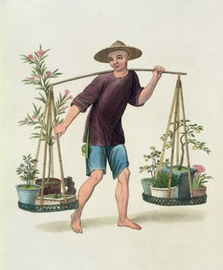 一个有果树和鲜花的搬运工，16号来自“中国服饰”，由J. Dadley雕刻，1800年