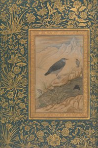 潜水员和其他鸟类，来自Shah Jahan专辑的对开本，直页：约1610-15。