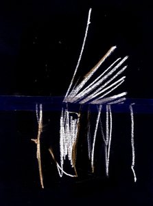 到期，2018 年（拼贴画） 作者 马尔科·坎佩德利