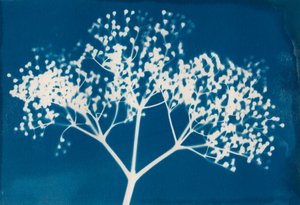 信，2014 年（纸张木版印刷） 作者 马尔科·坎佩德利