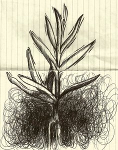 植物，2014 年（纸上水墨） 作者 马尔科·坎佩德利