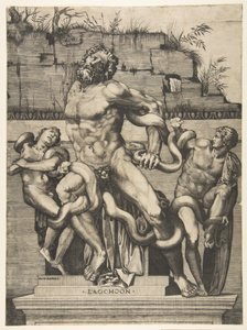 约克（Laocoön）和他的儿子被蛇袭击。 1515-27。