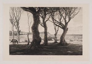 日德兰半岛景观 作者 马库斯·贝克·弗里茨（Marcus Bech Fritz）