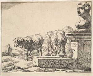 绵羊，来自一套16张的版画，1664年。 作者 马库斯·德拜