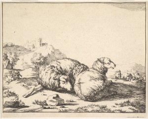 绵羊，来自一套16张的版画，1664年。 作者 马库斯·德拜
