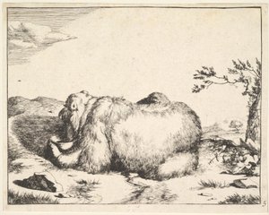 来自《熊的组合》，约1664年。 作者 马库斯·德拜